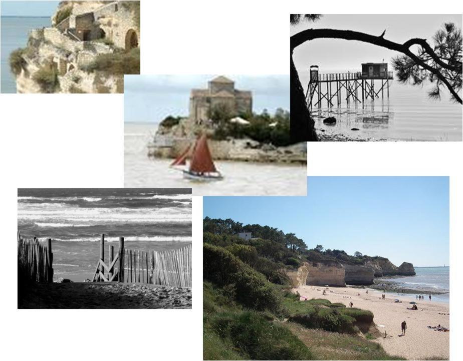 Chambre D'Hotes Le Berceau Meschers-sur-Gironde Eksteriør bilde